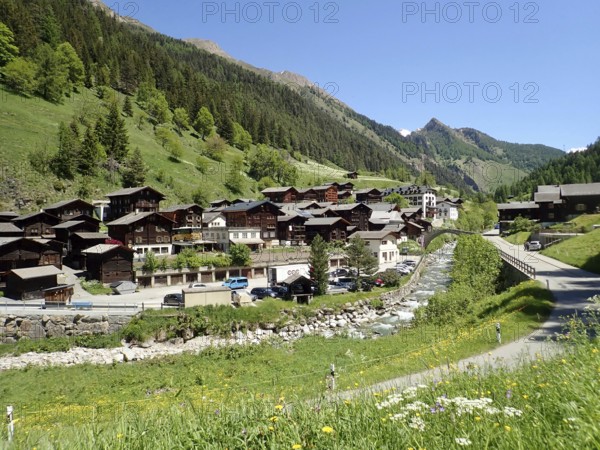 Alpine village with traditional architecture, nestled in green mountains and dense forest, Binn, Binn Valley, Goms, Canton of Valais, Switzerland