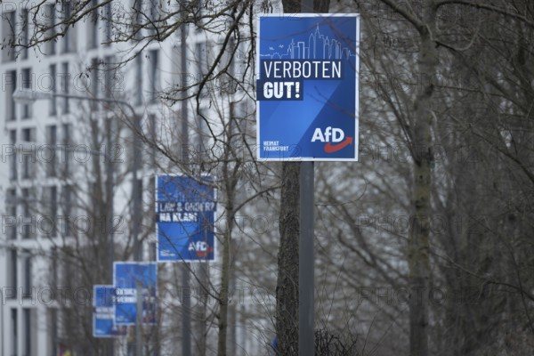 Numerous AfD election posters hang one behind the other on several lamp posts in the northwest of Frankfurt. The Hessian state government has set March 15, 2026 as the election day for the local elections in Hesse. On this day, the elections of the City Council and the 16 local advisory councils will take place in Frankfurt am Main, Germany
