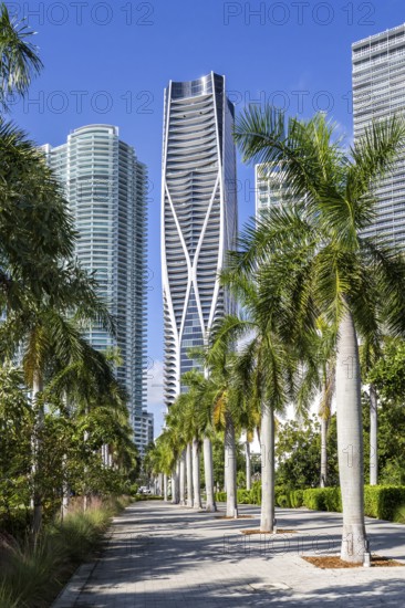 Miami skyline with high-rise real estate at Maurice A. Ferré Park in Miami, USA