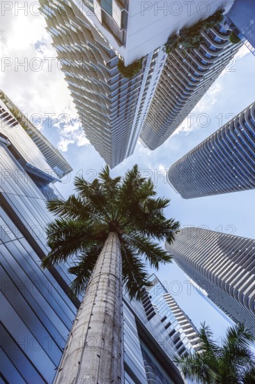 Miami skyline with high-rise real estate in the Brickell district of Miami, USA