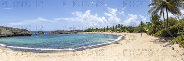 Mar Chiquita Beach in the Caribbean Ocean Vacations Panoramic in Manati, Puerto Rico