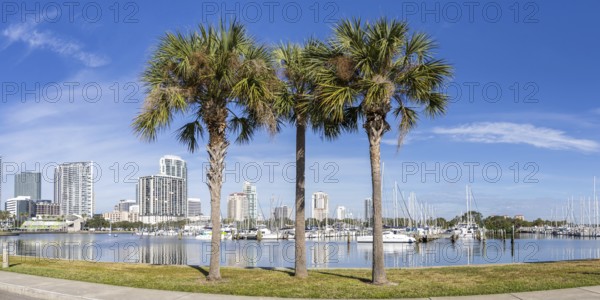 Saint Petersburg Florida Promenade on Tampa Bay Panorama with Palm Trees in Downtown St Petersburg, USA
