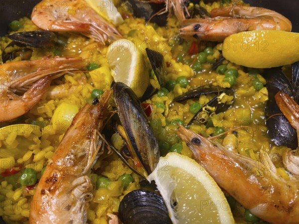 Close-up view, seafood paella, with rice, mussels, lemon slices, shrimp, food, Stuttgart, Baden-Württemberg, Germany
