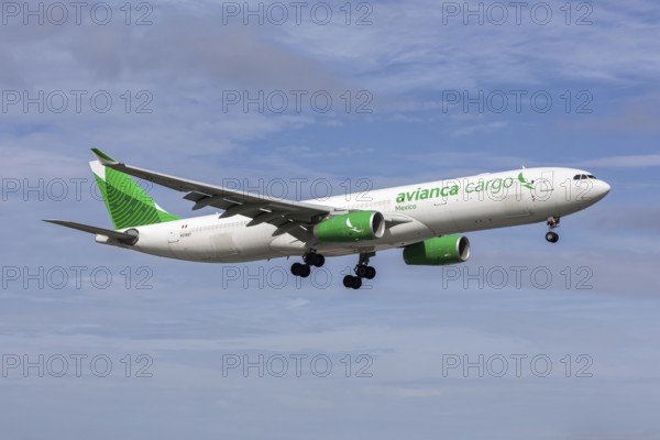 An Avianca Cargo Mexico Airbus A330-300P2F aircraft with license plate N338QT at Miami airport, USA