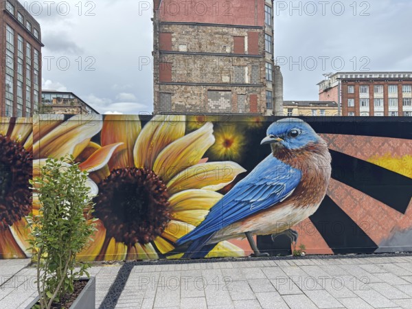 Mural of a bird and a sunflower in an urban setting, mural, street art, Glasgow, Scotland, United Kingdom