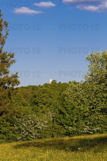 Lime kiln near the fog cave, Lichtenstein Castle in the back, Württemberg fairytale castle, romantic fairytale castle on the eaves of the Swabian Jura, bushes, hills, landscape, Swabian Jura, municipality of Lichtenstein, district of Reutlingen, Baden-Württemberg