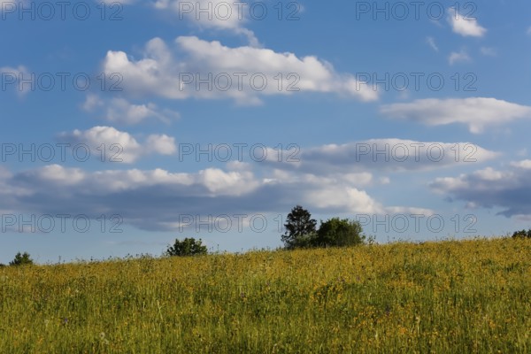 Lime kiln near the fog cave, clouds, sky, expanse, meadow, bushes, hills, landscape, Swabian Jura, municipality of Lichtenstein, district of Reutlingen, Baden-Württemberg