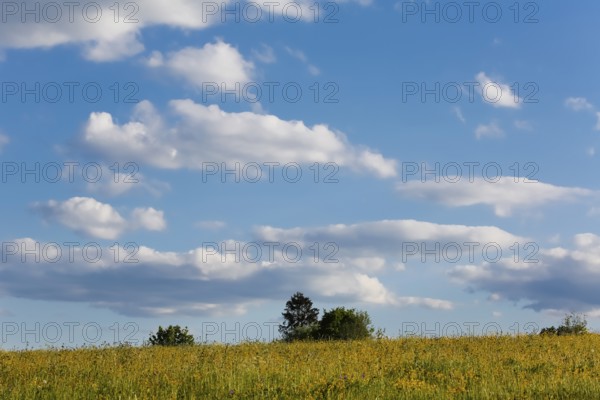Lime kiln near the fog cave, clouds, sky, expanse, meadow, bushes, hills, landscape, Swabian Jura, Lichtenstein, Reutlingen district, Baden-Württemberg