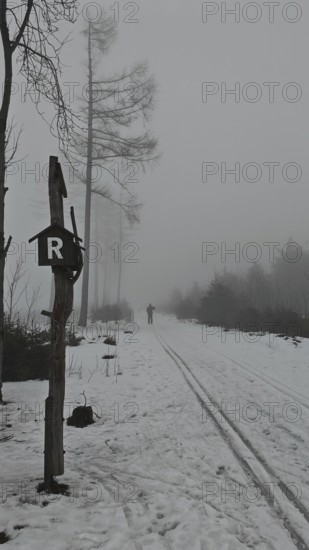 Snowy trail in fog with ski tracks and a lonely cross-country skier in front of the Rennsteig signpost with the letter R, Rennsteig Thüringer Wald