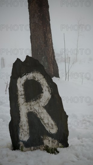 A stone marked with the letter R in foggy, snowy terrain next to a tree, signpost, Rennsteig, Thuringian Forest nature park Park