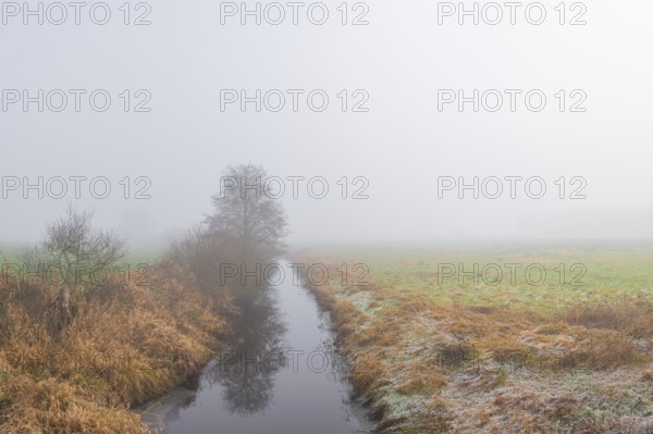 View along a ditch covered with trees and shrubs in fog, Wehden, Cuxhaven, Lower Saxony, Germany