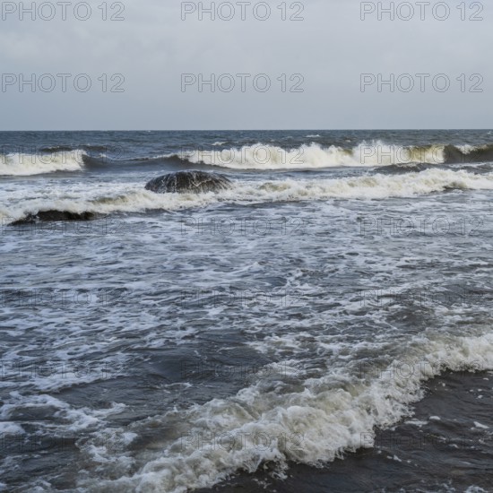Foundling in the sea, surf, Hankenufer, Lohme, Jasmund, Rügen, island, Baltic Sea, Mecklenburg-Western Pomerania, Germany