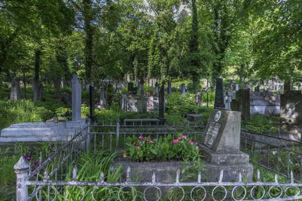 Lützenhofer cemetery Lychakivskiy cemetery, Lviv, Galicia, Ukraine