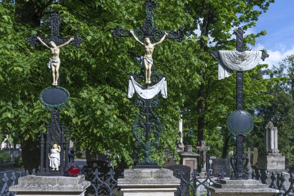 Christ crosses at Lützenhofer cemetery Lychakivsky cemetery, Lviv, Galicia, Ukraine