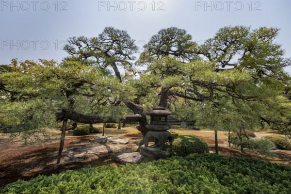 Yukimi-gata, four-legged stone lantern, Ninomaru Garden, former imperial villa, Nijo Castle, Kyoto, Japan