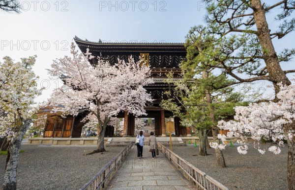 Sanmon Gate and blooming cherry trees, Konkai-Komyoji Temple, Buddhist Temple, Kyoto, Japan