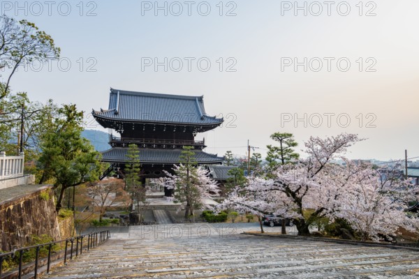 Sanmon Gate in evening light with blooming cherry trees, Buddhist temple, Konkai-Komyoji temple, Kyoto, Japan