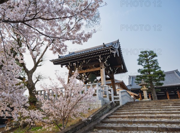 Shoro Bell Tower and Blooming Cherry Trees, Konkai-Komyoji Temple, Buddhist Temple, Kyoto, Japan
