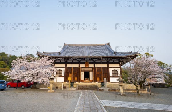 Japanese temple with blooming cherry trees, Amidado, Konkai-Komyoji Temple, cherry blossom season, Kurodanicho, Kyoto, Japan
