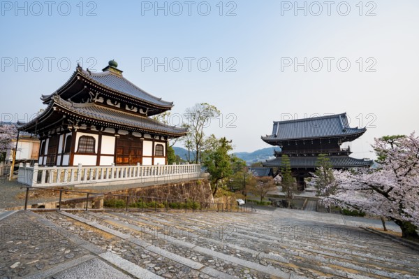 Nokotsudo and Sanmon Gate in the evening light with blooming cherry trees, Buddhist temple, Konkai-Komyoji temple, Kyoto, Japan