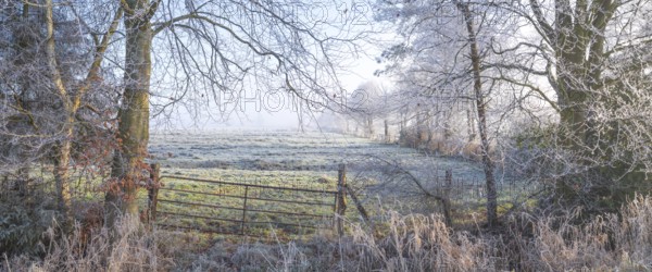 View over a gate to a pasture with the surrounding vegetation wetted with frozen morning dew, Winter, Wehden, Cuxhaven, Lower Saxony, Germany