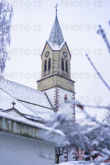 Snowy church tower with gothic elements and surrounding trees in winter, Gechingen, Calw district, Germany