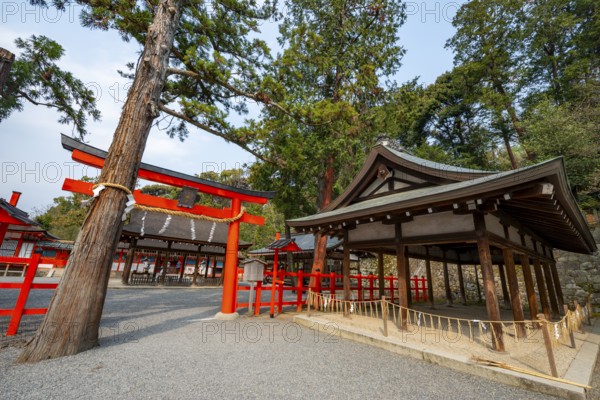 Entrance to the shrine with red torii gate, Yoshida Shrine, Shinto Shrine, Kyoto, Japan