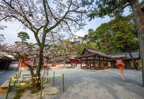 Kagura-den Hall and Sakado, Yoshida Shrine, Shinto Shrine, Kyoto, Japan