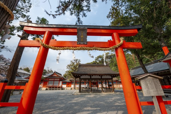 Entrance to the shrine with red torii gate, Kagura-den Hall, Yoshida Shrine, Shinto Shrine, Kyoto, Japan