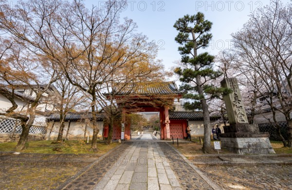 Somon Gate, Shinsho Gokurakuji or Shinnyo-do Temple, Japanese cherry blossom, Kyoto, Japan