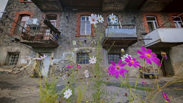 Colourful flowers in front of an old residential building with brick and wood, Armenia