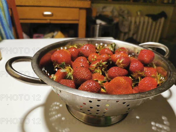 Fresh red strawberries (fragaria) lie in a stainless steel sieve on a kitchen table