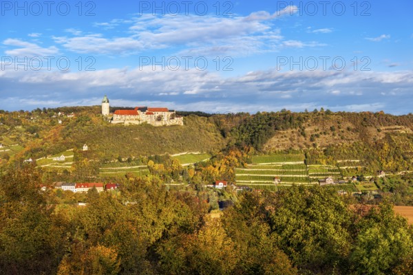 View of Neuenburg Castle and the Ducal Vineyard in autumn, Freyburg, Burgenlandkreis, Saxony-Anhalt, Germany