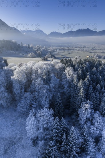 Winter landscape, fog, high fog, mountain landscape, hoarfrost, cold, trees, forest, winter, sunny, aerial view, view of Zugspitze, Laber, foothills of the Alps, Bavaria, Germany
