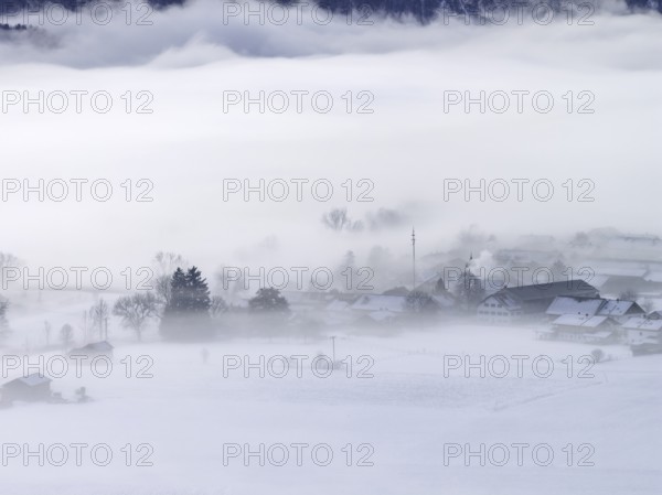 Village, houses, farms, maypole, fog, high fog, winter, cold, snow, Schlehdorf, Alpine foothills, Bavaria, Germany