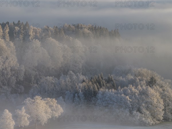 Fog, high fog, hoarfrost, cold, winter, sunny, aerial view, foothills of the Alps, Bavaria, Germany