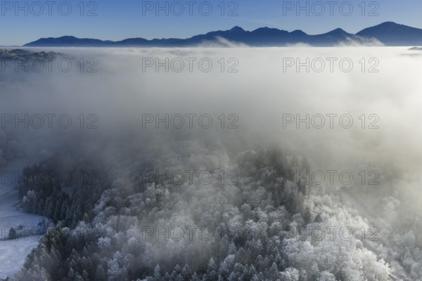 Winter landscape, fog, high fog, mountain landscape, back light, hoarfrost, cold, trees, forest, winter, sunny, aerial view, view of Benediktenwand, Jochberg, foothills of the Alps, Bavaria, Germany