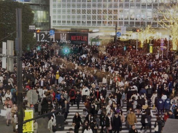 Heavy foot traffic at an urban intersection at night, Shibuya, Tokyo, Japan