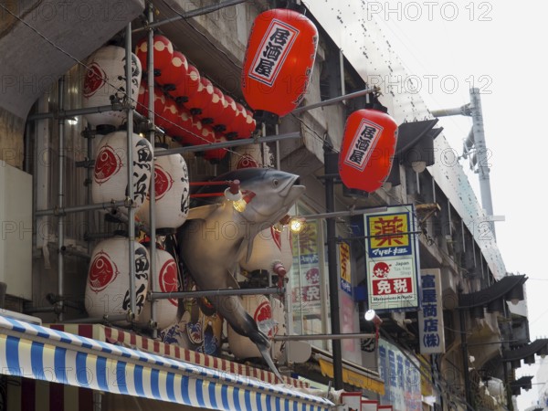 Shop with eye-catching decoration, including a fish and red lanterns, Ameyoko Market, Tokyo, Japan