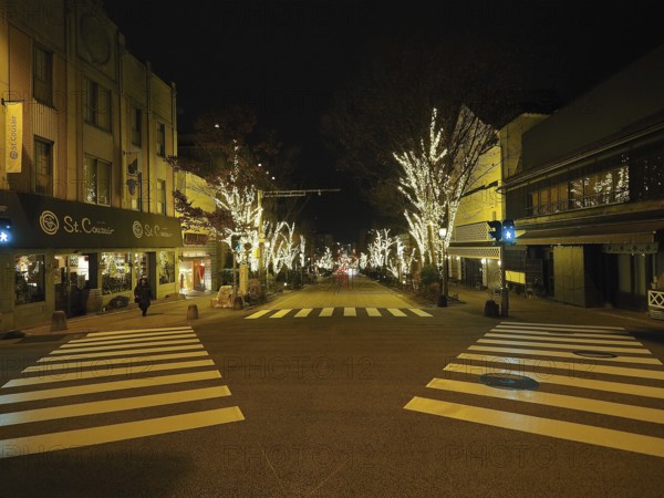 Illuminated trees line a city street at night, a quiet urban scene, Chuo-dori street, Nagano, Japan