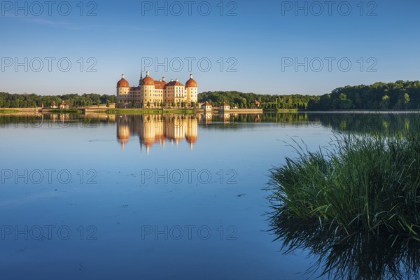 Moritzburg Castle, Augusts the Strong hunting lodge in morning light, water reflection in the lake, Saxony, Germany