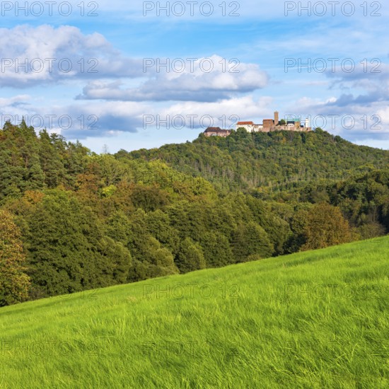 View across a green meadow to Wartburg Castle in the Thuringian Forest, Eisenach, Thuringia, Germany