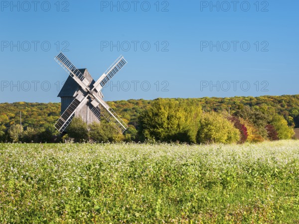 The trestle windmill of Krippendorf on the battlefield of 1806, near Jena, Thuringia, Germany