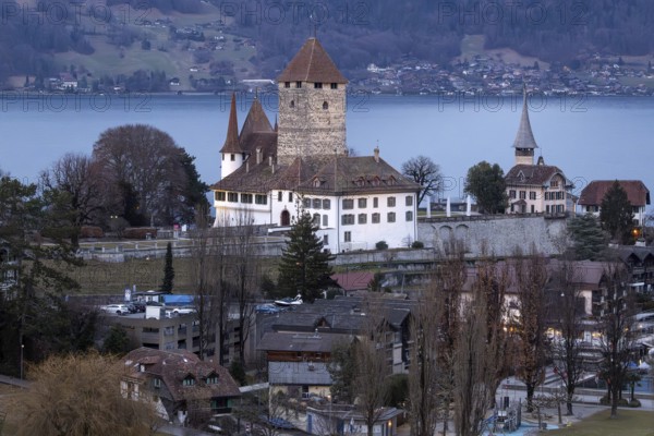 Castle with Lake Thun, Spiez, Switzerland