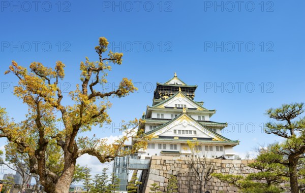 Osaka castle among trees in the park, Osaka Castle Park, Chuo-ku, Osaka, Japan