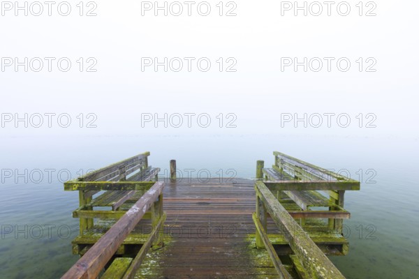 Wooden jetty at Lake Ratzeburg, Ratzeburger See in the mist, Lauenburg Lakes Nature Park, Naturpark Lauenburgische Seen, Schleswig-Holstein, Germany