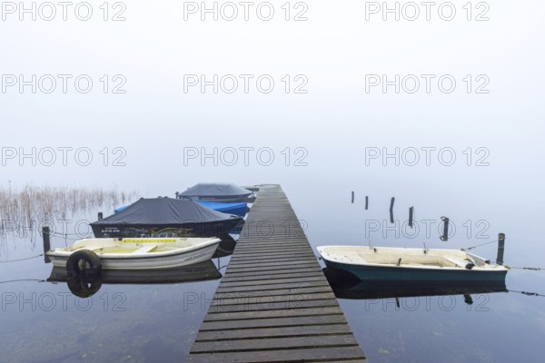 Rowing boats, rowboats moored to wooden jetty at Lake Ratzeburg, Ratzeburger See in mist, Lauenburg Lakes Nature Park, Schleswig-Holstein, Germany
