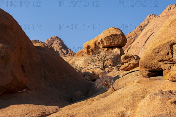 Rocky landscape with orange rocks under clear blue sky, Spitzkoppe, Namibia