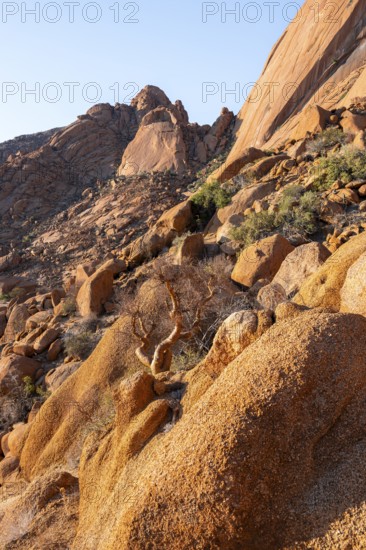 Steep rock formation in the dry landscape of the pristine Spitzkoppe, Spitzkoppe, Namibia