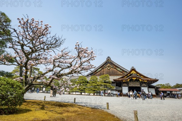 Kuruma-yose building behind the Tosaburai with blooming cherry tree, former imperial villa, Nijo Castle, Kyoto, Japan